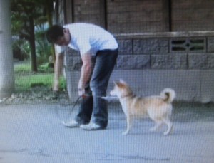 森田誠の犬のしつけ法