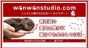 森田誠の犬のしつけ公式サイト